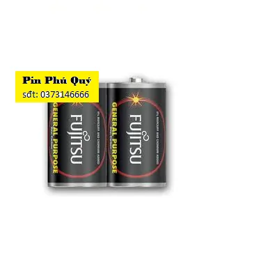 pin d