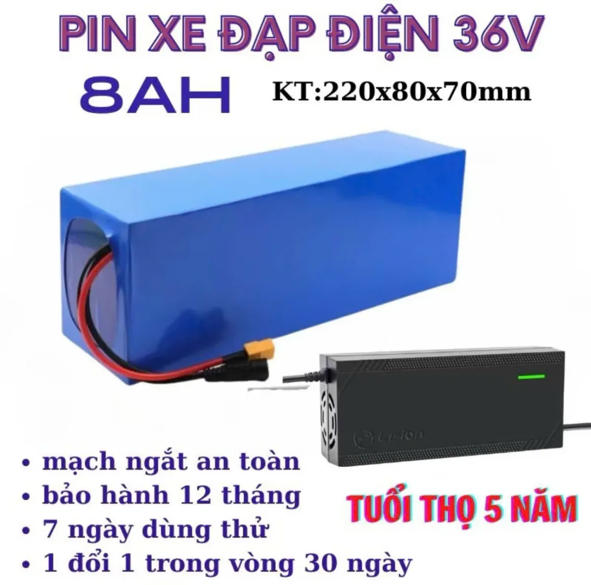 pin xe dap dien 36v 8Ah