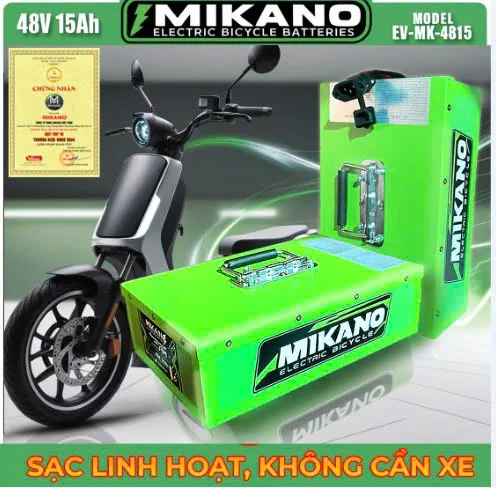 Pin lithium xe điện 48V 15Ah kiểu đứng