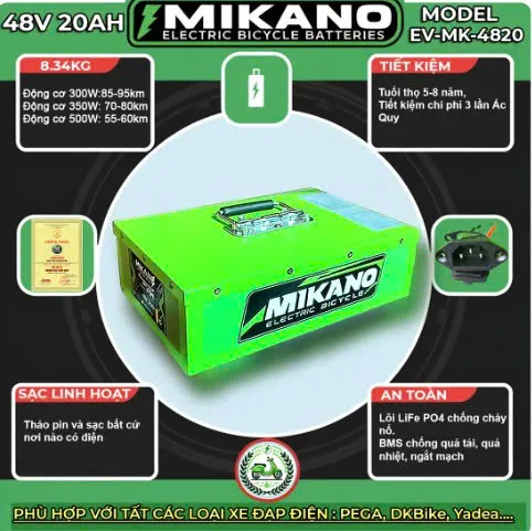 Pin lithium xe điện 48V 20Ah