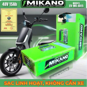 Pin lithium xe điện 48V 15Ah kiểu đứng