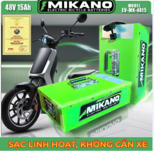 Pin lithium xe điện 48V 15Ah kiểu đứng