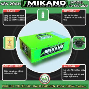 Pin lithium xe điện 48V 20Ah