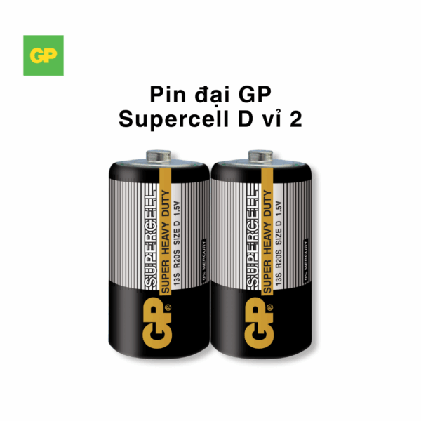 pin d gp cacbon