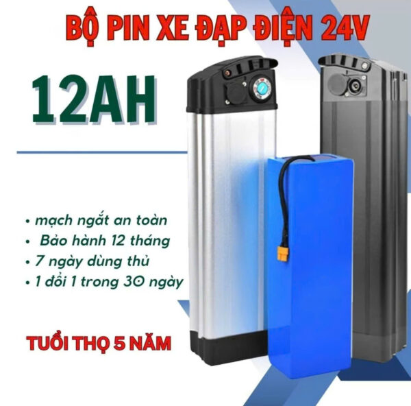 pin xe đạp điện 24 V 12A
