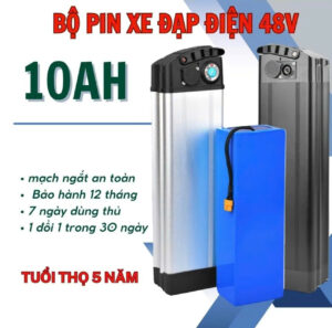 pin xe dap dien 48v 10A