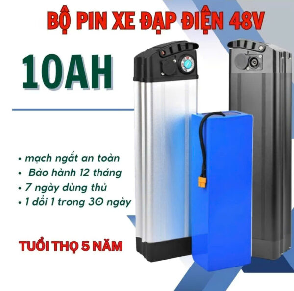 pin xe dap dien 48v 10A