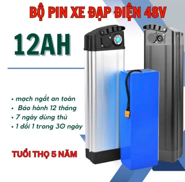 pin xe dap dien 48v 12A