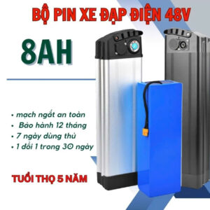 pin xe dap dien 48v 8Ah